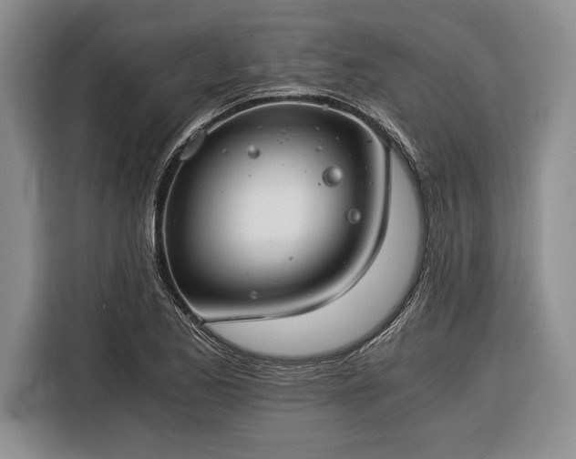 X0000116391173200912091428