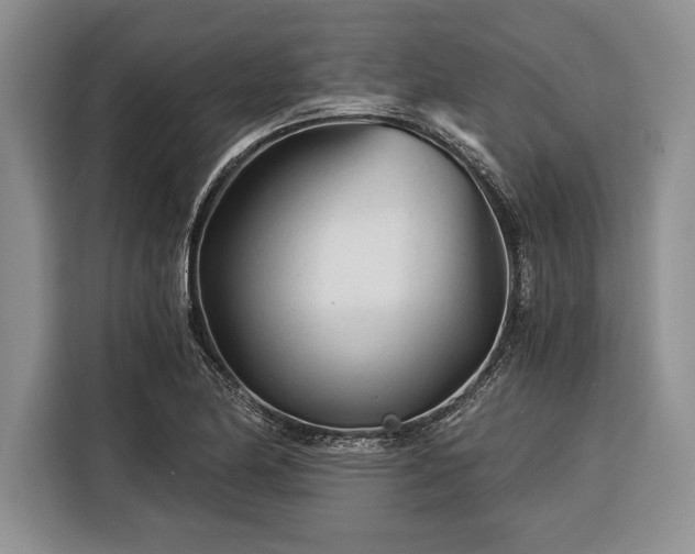 X0000116391174200912091428