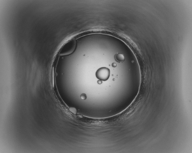 X0000116391175200912091428