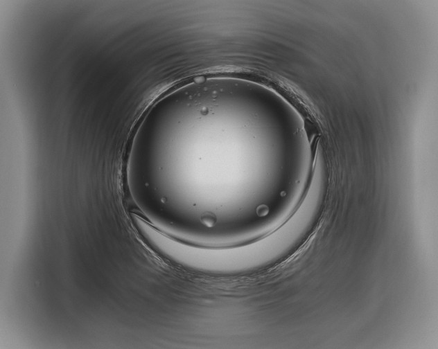 X0000116391177200912091428