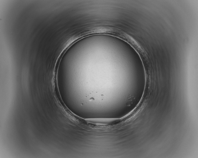 X0000116391178200912091428