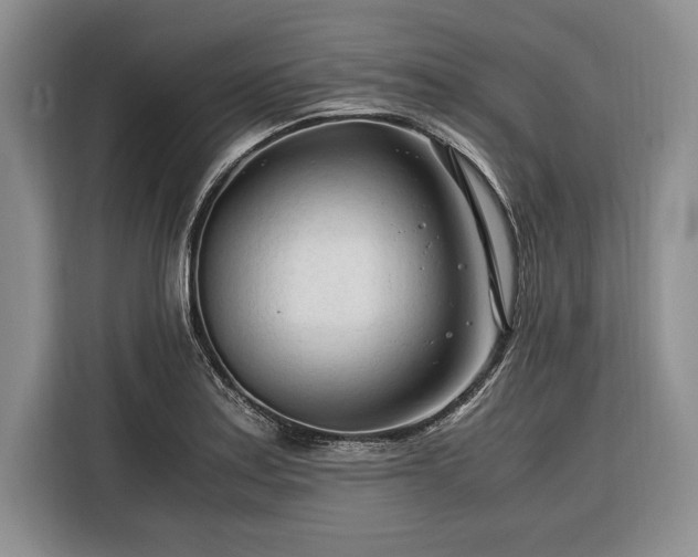 X0000116391179200912091428