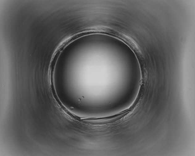 X0000116391180200912091428