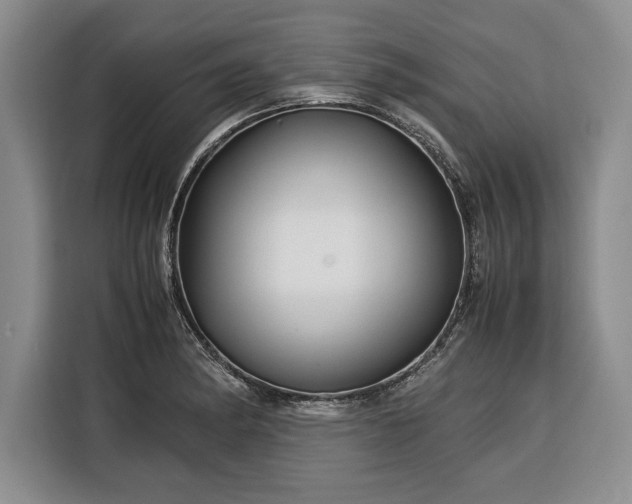 X0000116391182200912091428