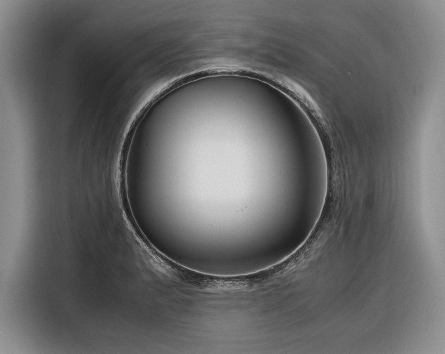 X0000116391183200912091428