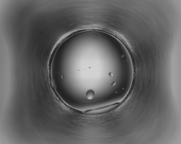 X0000116391184200912091428