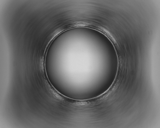 X0000116391186200912091428