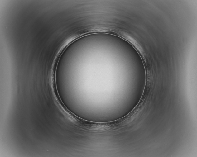 X0000116391187200912091428