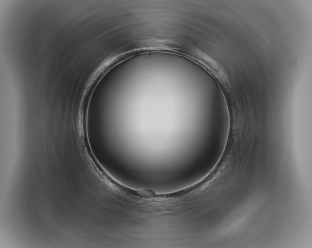 X0000116391188200912091428