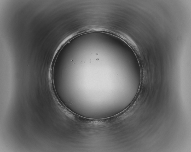 X0000116391190200912091428