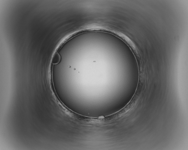 X0000116391191200912091428