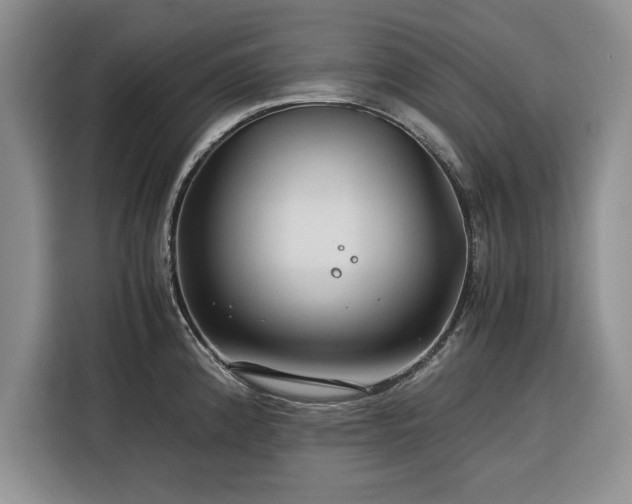 X0000116391192200912091428