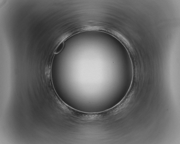 X0000116391193200912091428
