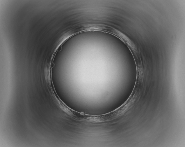 X0000116391194200912091428