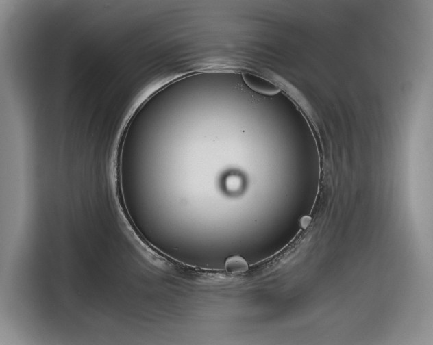 X0000116391195200912091428