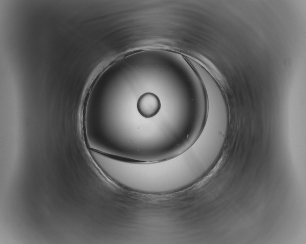 X0000116391196200912091428