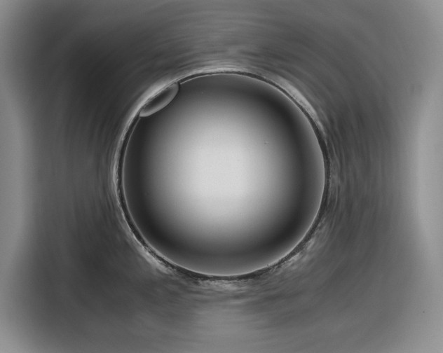 X0000116391197200912091428