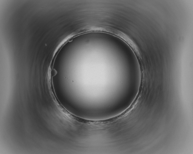 X0000116391198200912091428