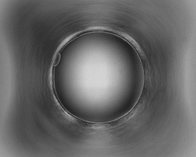 X0000116391199200912091428