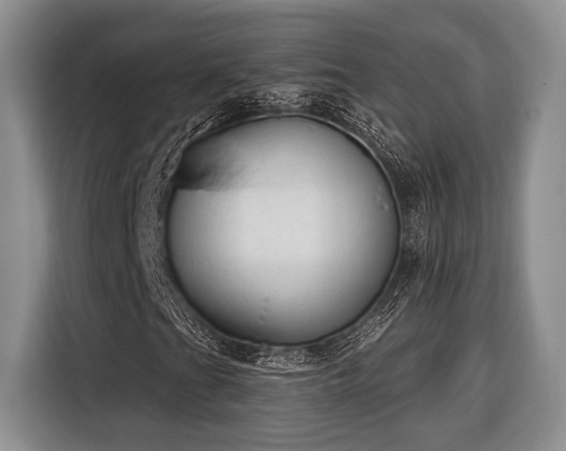 X0000116391201200912091428