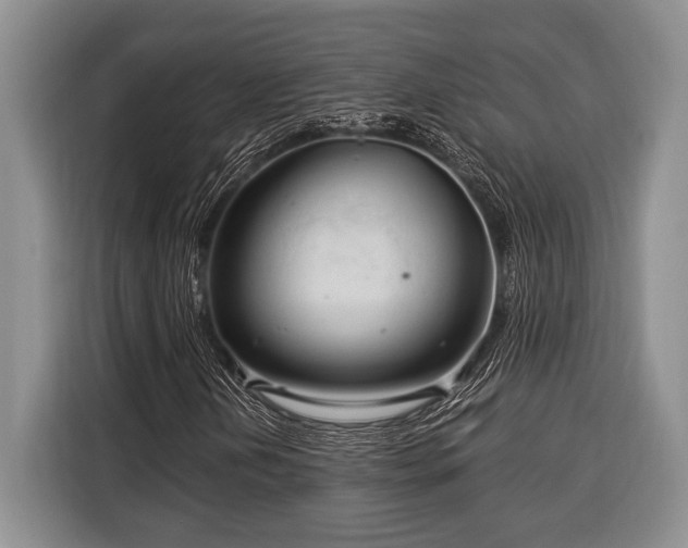 X0000116391202200912091428
