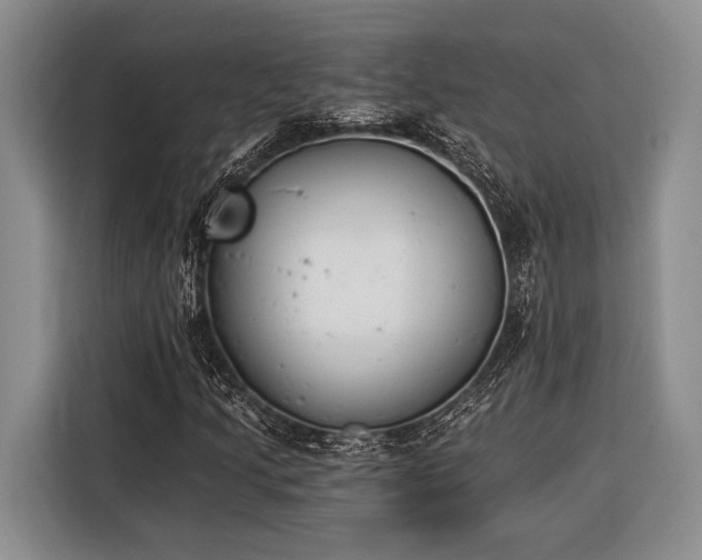 X0000116391205200912091428