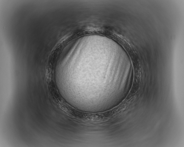 X0000116391207200912091428