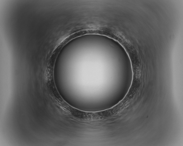 X0000116391208200912091428
