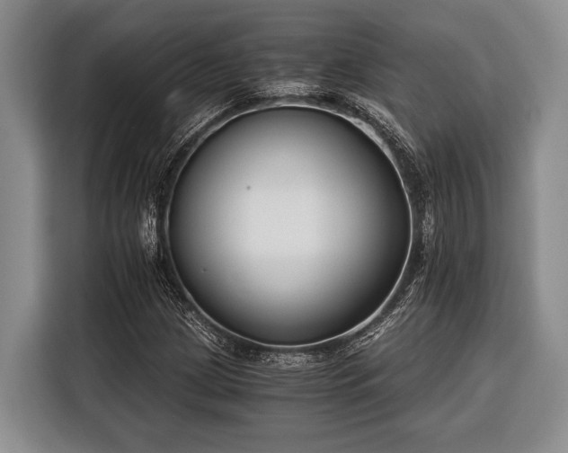 X0000116391209200912091428