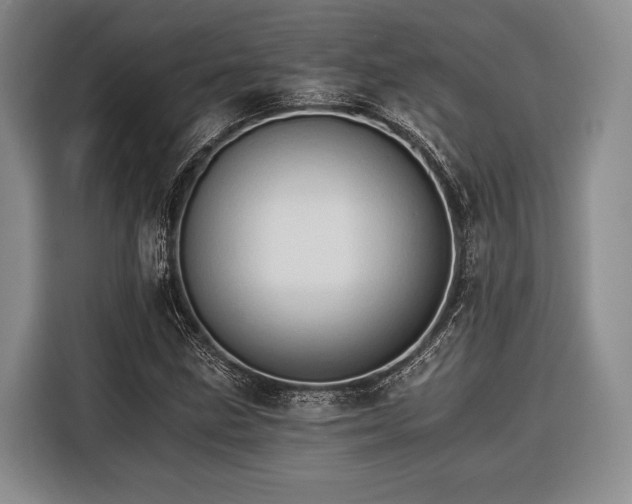 X0000116391211200912091428