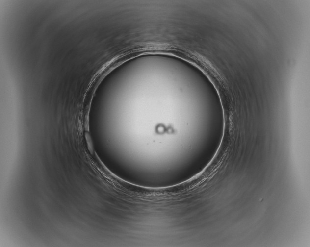 X0000116391212200912091428