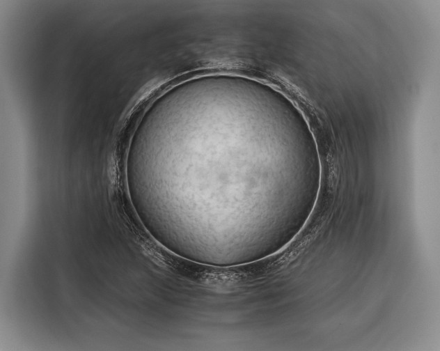 X0000116391215200912091428