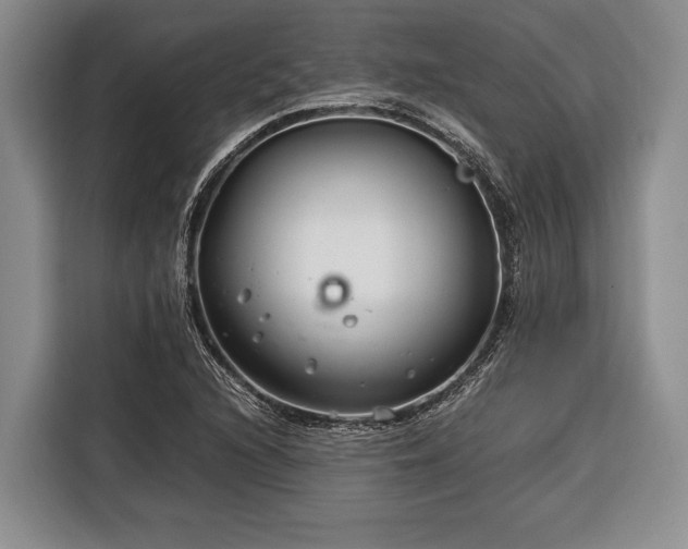 X0000116391216200912091428