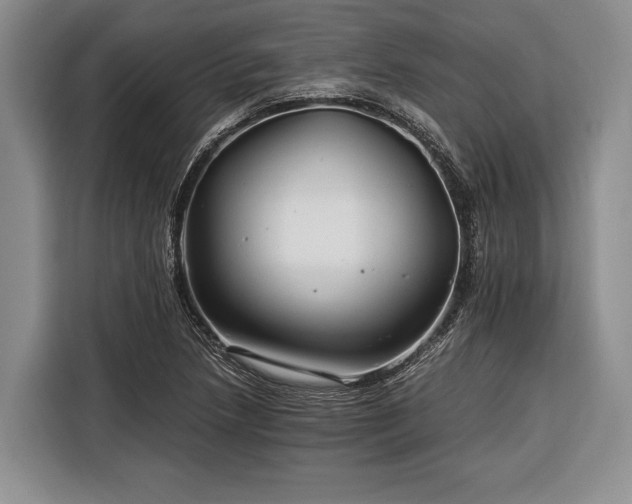 X0000116391218200912091428