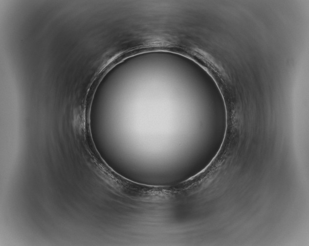 X0000116391220200912091428