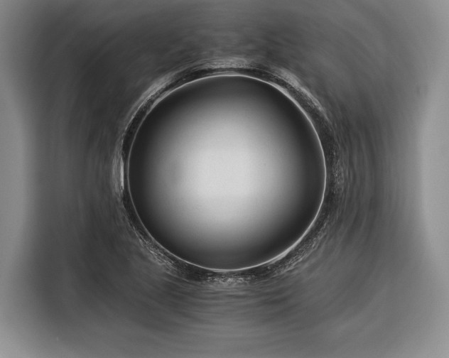 X0000116391221200912091428