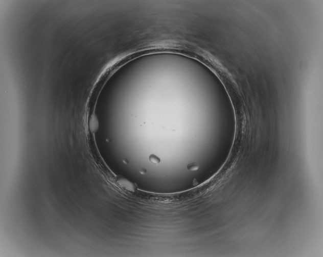 X0000116391222200912091428