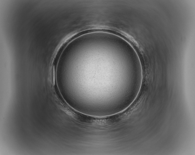 X0000116391223200912091428