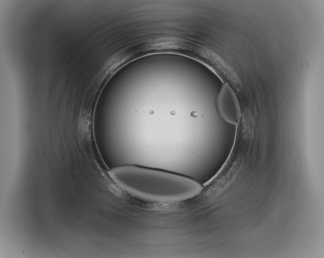 X0000116391225200912091428