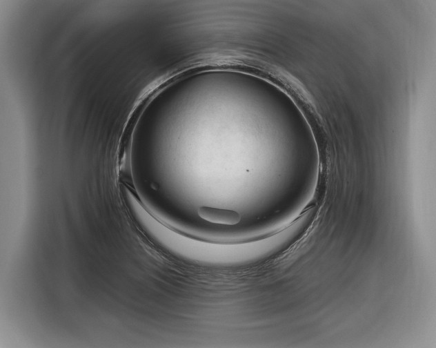 X0000116391226200912091428