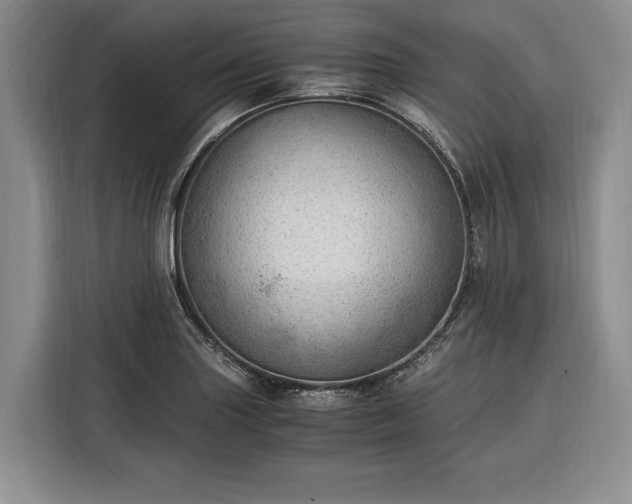 X0000116391227200912091428