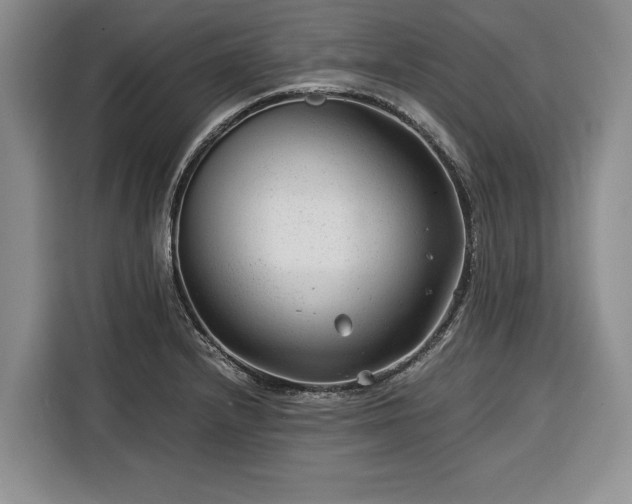 X0000116391232200912091428