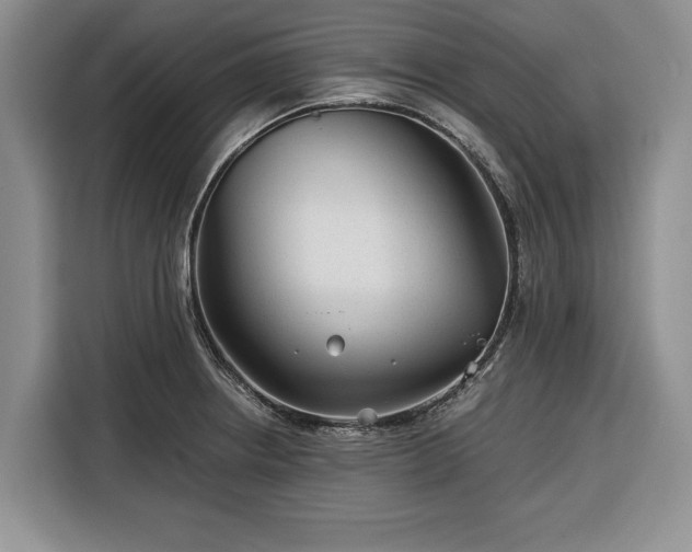 X0000116391234200912091428