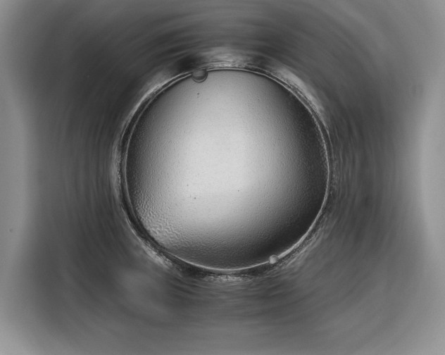 X0000116391235200912091428