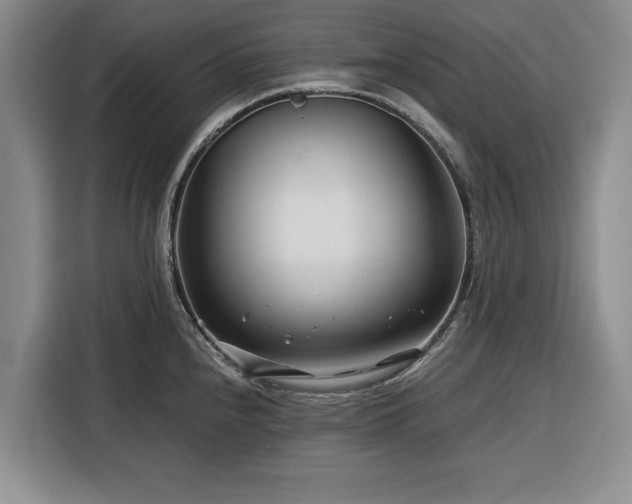 X0000116391240200912091428