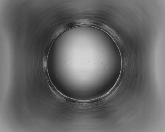 X0000116391241200912091428