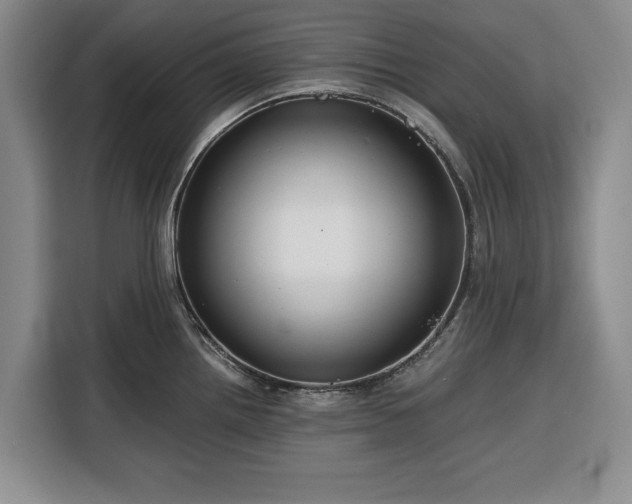 X0000116391242200912091428