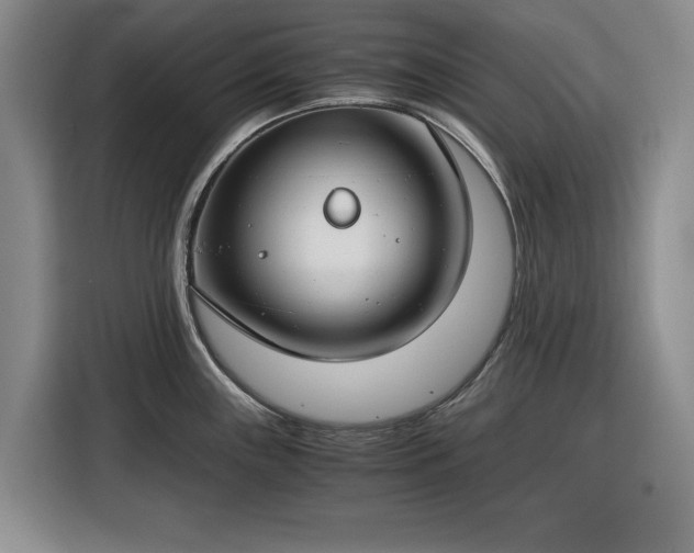 X0000116391243200912091428