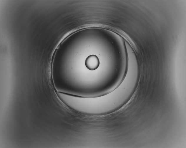 X0000116391244200912091428