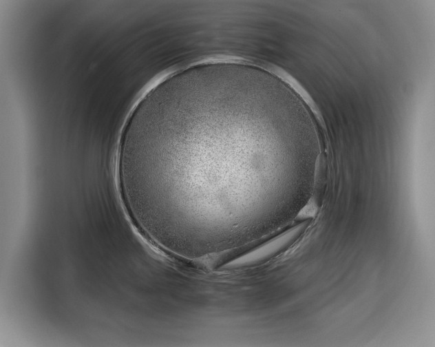 X0000116391245200912091428